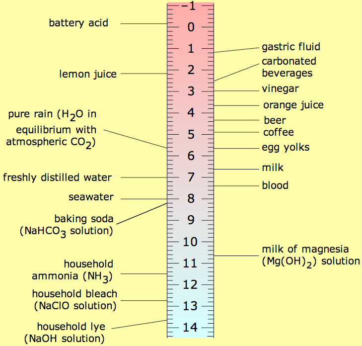 Acids and Bases