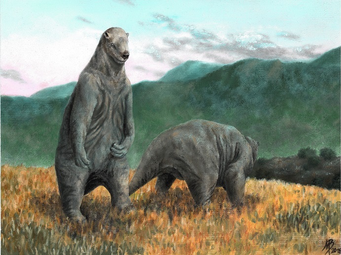 Giant Ground Sloth