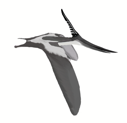 Pterosaurs