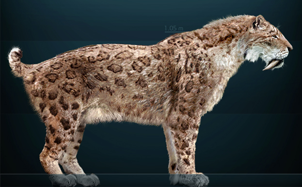 Saber-Toothed Cat