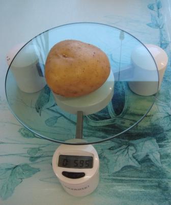 Weight (Measurement)